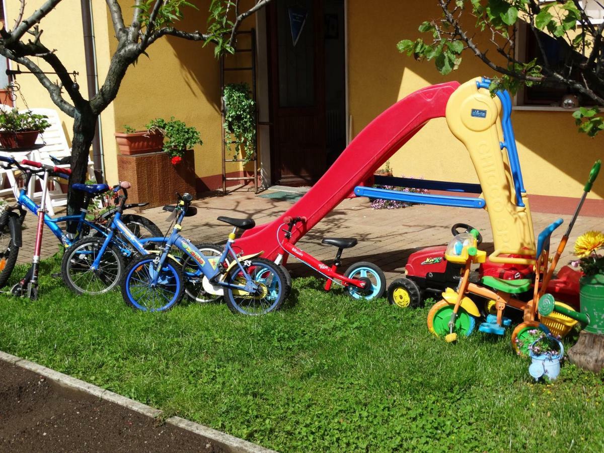 Il Nido Del Merlo Parcheggio E Giardino Verbania Kültér fotó