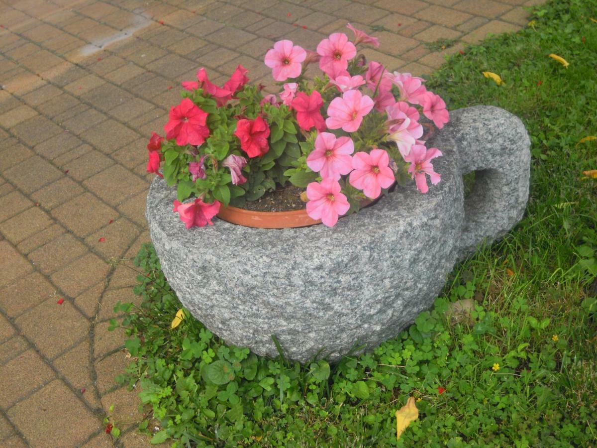 Il Nido Del Merlo Parcheggio E Giardino Verbania Kültér fotó
